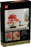 Bonsai di acero rosso giapponese - 10348 D - Di Maio Giocattoli