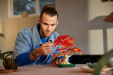 Bonsai di acero rosso giapponese - 10348 D - Di Maio Giocattoli