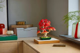 Bonsai di acero rosso giapponese - 10348 D - Di Maio Giocattoli