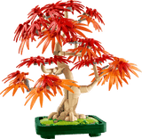 Bonsai di acero rosso giapponese - 10348 D - Di Maio Giocattoli