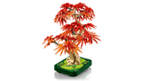 Bonsai di acero rosso giapponese - 10348 D - Di Maio Giocattoli