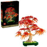 Bonsai di acero rosso giapponese - 10348 D - Di Maio Giocattoli