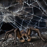 Aragog - Di Maio Giocattoli