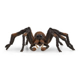 Aragog - Di Maio Giocattoli