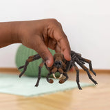 Aragog - Di Maio Giocattoli