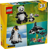 Lego - Animali selvatici: famiglia di panda - 31165 D - Di Maio Giocattoli