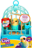 Little Live Pets Uccellino Indie - Di Maio Giocattoli