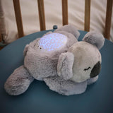 Nattou LED luce notturna koala, proiettore cielo stellato