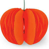 Zucca Pieghevole What a Pumpkin