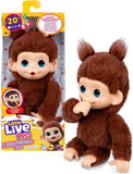 Rocco Giocattoli - Little Live Pets Scimmietta - Di Maio Giocattoli