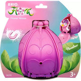 La casa in fiore di Heather