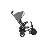 Eurekakids Roady Triciclo Evolutivo - Di Maio Giocattoli