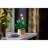 Lego Botanicals Spatafillo ( Peace Lily ) #11504 D