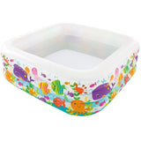 Intex Piscina Acquario