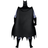 McFarlane Batman: The Animated Series DC