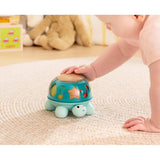 Hape Twist & Tune Turtle
