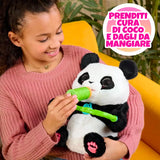 Coco The Tumbling Panda Interattivo