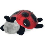 Ladybug, Classico, Twilight Turtle luce notturna